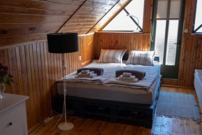 Summer holiday house Vizuli